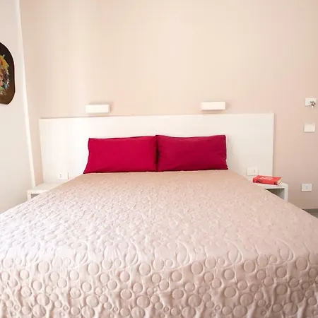 White Asses Guest house *
